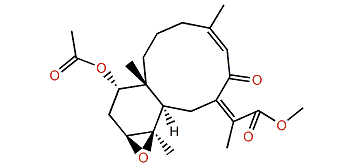 Briviolide I